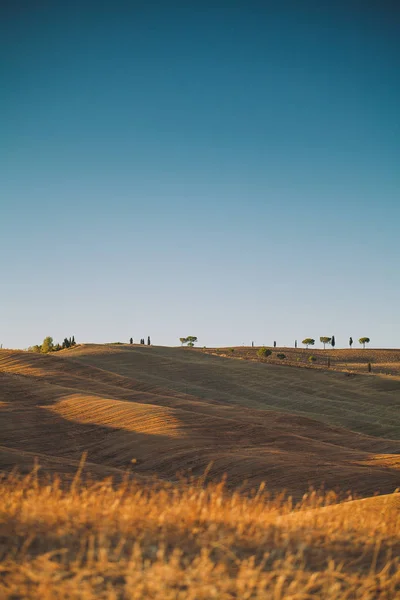 Ampia vista su un campo e sulle colline della Val d'Orcia, Toscana — Foto Stock