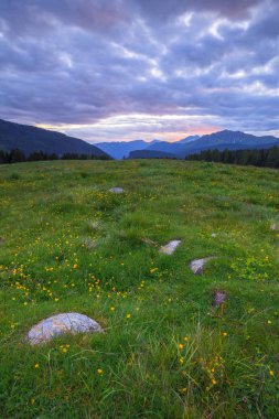 Malga rolle, Paneveggio Tabiat Parkı 'ndan Mezzena Zirvesi 'nin manzarası