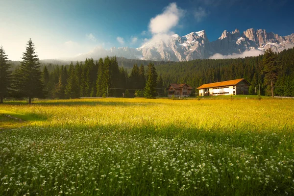 Latemar Dağı, Costalunga Geçidi, Dolomites, Trentino Alto Adige, — Stok fotoğraf