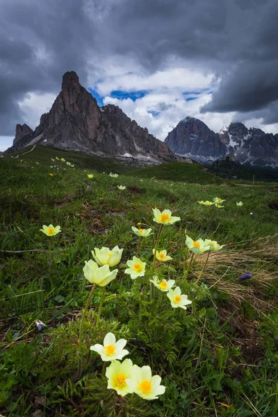 Ra Gusela, Forcella Giau, Giau Pass, Dolomieten, Veneto, Cortina — Stockfoto