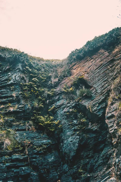 Oasis Avec Des Plantes Sur Les Murs Plage Las Catedrales — Photo