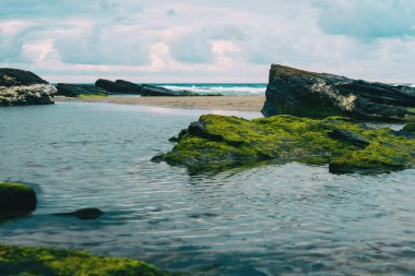 Sahilde deniz yosunu taşlarla yansıması ile birikintisi