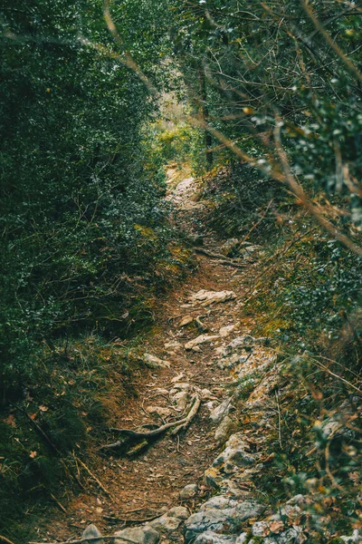 Camino Tierra Piedras Medio Montaña Naturaleza — Foto de Stock