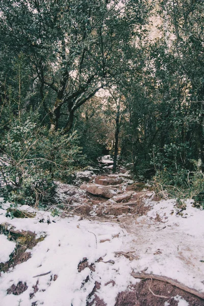 自然の雪に覆われた登山道 — ストック写真