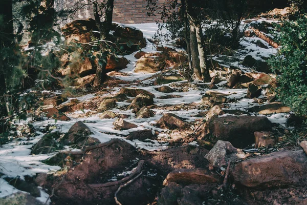 木漏れ日と自然の中で雪の風景 — ストック写真