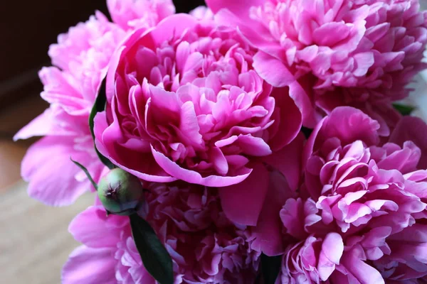 Tüm güzelliği ortaya parlak şakayık.