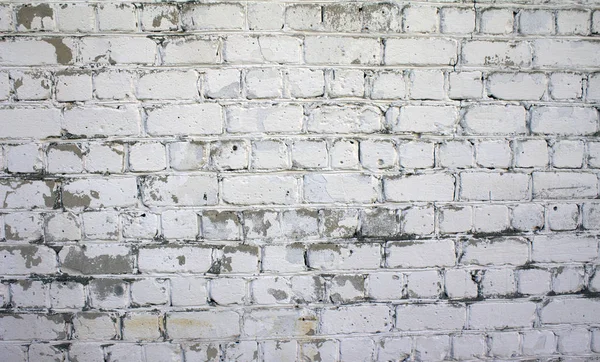 Doku, terk edilmiş bir binada eski tuğla duvar