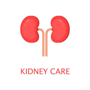 Düz stil sağlıklı böbrekler. Sol ve sağ böbrek. İnsan iç organı. Anatomi konsepti. Dünya böbrek günü. Şirin çizgi film vektör illüstrasyonu