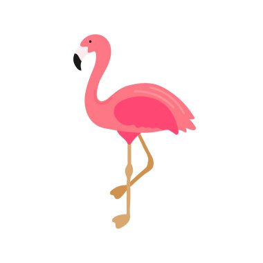 Beyaz arka planda izole edilmiş pembe flamingo çizimi. El çizimi şirin flamingo. Egzotik tropikal kuş. Baskı, tişört, poster, tekstil ve kart için yaz tasarımı öğesi. Vektör illüstrasyonu.