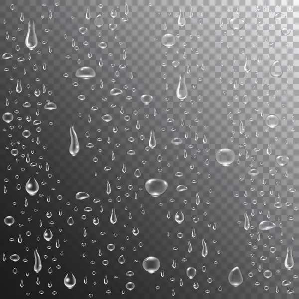 Esőcseppek vagy gőzfürdő. Reális vízcseppek átlátszó háttérrel. Tiszta gőzbuborékok az ablaküveg felületén. Sűrített tiszta cseppek. Vektorillusztráció — Stock Vector
