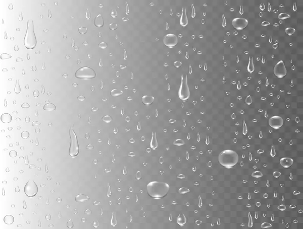 Gocce d'acqua realistiche su sfondo trasparente. Gocce di pioggia o doccia a vapore. Gocce pure condensate. Bolle di vapore trasparenti sulla superficie del vetro della finestra. Illustrazione vettoriale — Vettoriale Stock