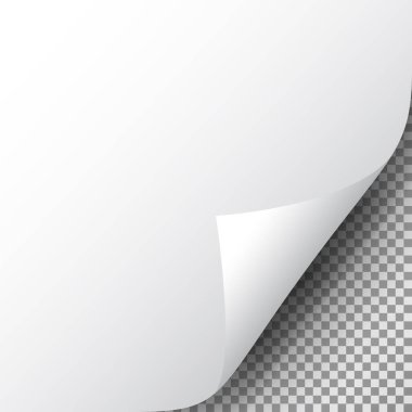 Sayfanın köşesinde saydam bir kağıt var. Gölgeli, gerçekçi kıvrımlı bir kağıt parçası. Kağıdı çevir. Web, baskı, afiş, reklam, sunum için tasarım. Vektör illüstrasyonu.