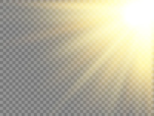 Luz Solar Sobre Fundo Transparente Efeito Luz Brilhante Dourado Lente — Vetor de Stock