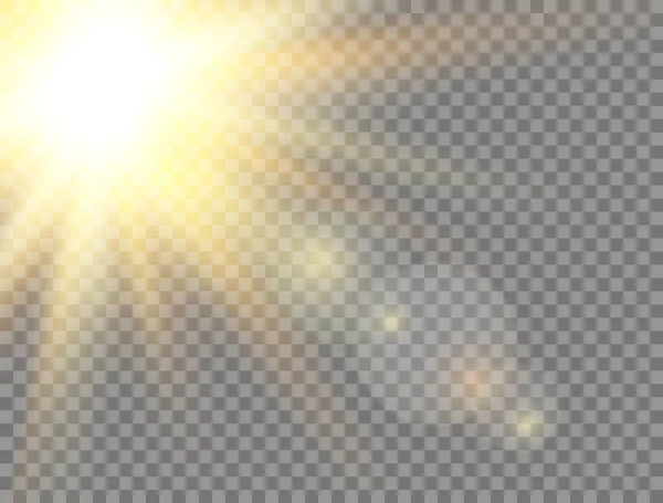 Золоте Сяюче Світло Впливає Прозорий Фон Сонячне Світло Літній Сонячний — стоковий вектор