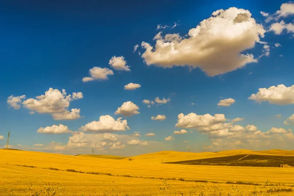 Paisaje Fuera Córdoba España — Foto de Stock