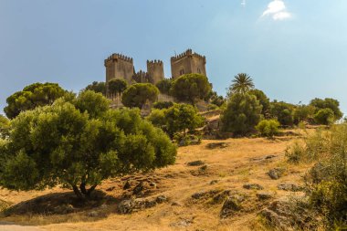 Kalenin Almodovar del Rio - Cordoba, İspanya