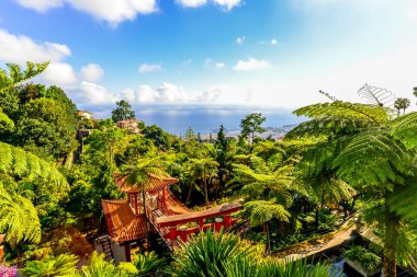 Funchal Maderia Adası - Portekiz üzerinde dışında Japon temalı tropikal bahçe