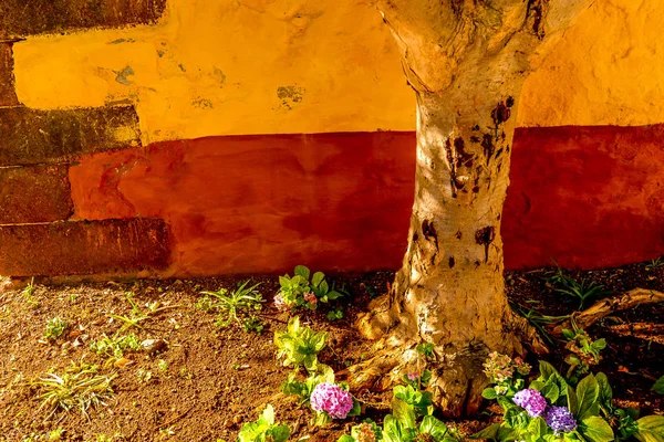 Colorful Yellow Fort Funchal Maderia Portugal — Stock Photo, Image