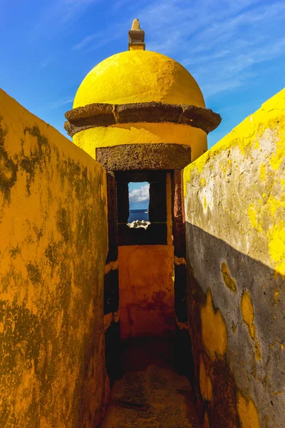 Цветной Желтый Форт Фуншале Мадерия Португалия — стоковое фото