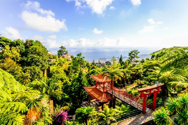 Giardino Tropicale Tema Giapponese Fuori Funchal Sull Isola Maderia Portogallo — Foto Stock