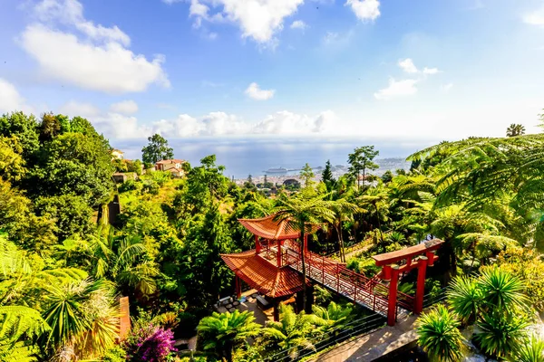 Giardino Tropicale Tema Giapponese Fuori Funchal Sull Isola Maderia Portogallo — Foto Stock