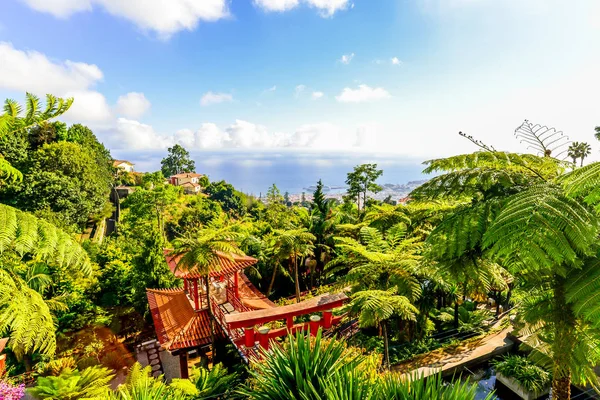 Giardino Tropicale Tema Giapponese Fuori Funchal Sull Isola Maderia Portogallo — Foto Stock