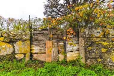 Sonbahar - Vigo - İspanya bulunan Galiçya - ahşap kapı