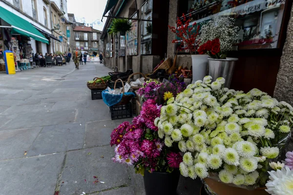 Santiago de Compostela / - İspanya - 11/17/18 - Galicia Santiago ünlü camino sonundaki Caddesi de Santiago