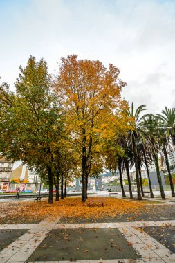 Vigo Tren istasyonunun yanında renkli bir kare