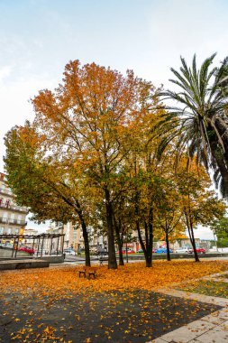 Vigo Tren istasyonunun yanında renkli bir kare
