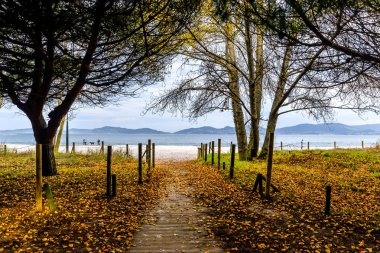 Vigo - Galiçya vao plaja giden bir yol