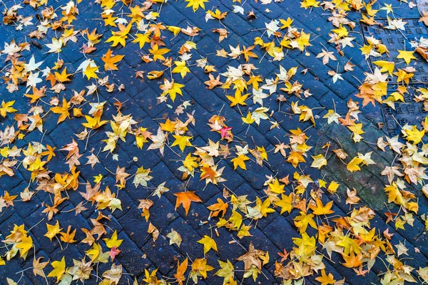 Colorful Square Next Train Station Vigo — Stock Photo, Image