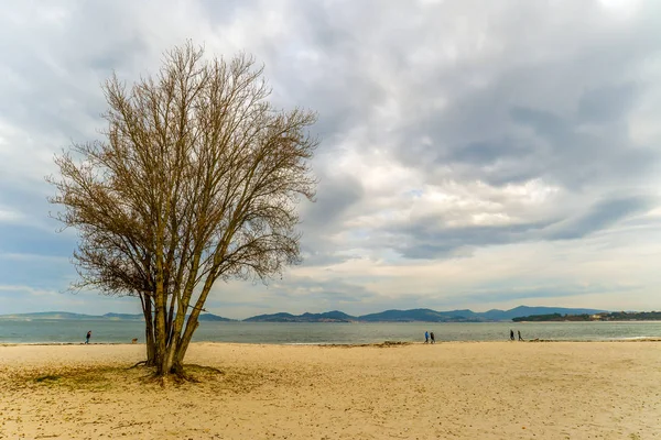 Vigo Galizia Spagna Autunno Freddo Sulla Spiaggia Vao Vigo — Foto Stock