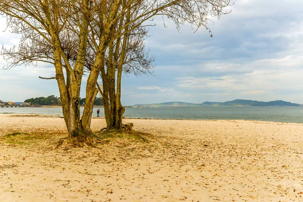 Vigo Galizia Spagna Autunno Freddo Sulla Spiaggia Vao Vigo — Foto Stock