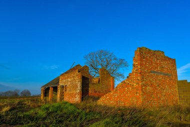 Northamptonshire - Woodend, İngiltere'de kırsal bir sahnede