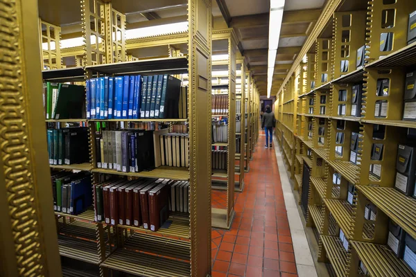 Знаменитая Библиотека Нью Йорке Сша — стоковое фото