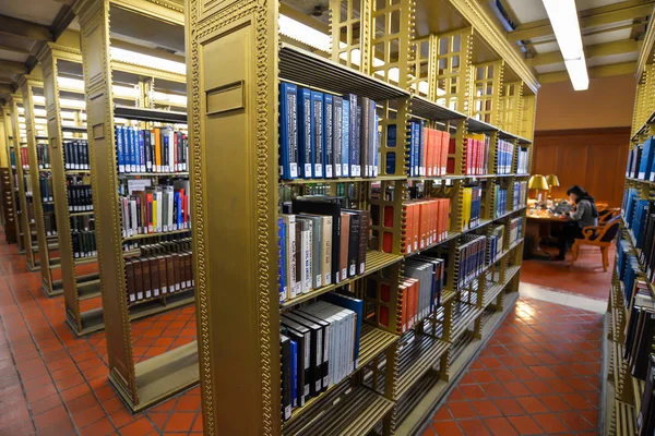 Icónica Biblioteca Nueva York Estados Unidos — Foto de Stock
