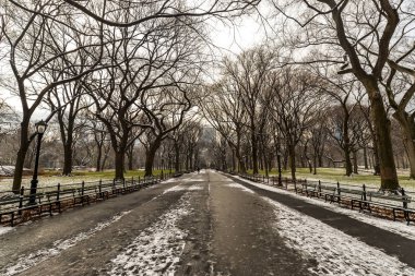 Sabah Central Park'ta bir kar yağışı sonra