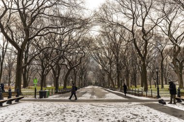 New York/ABD - 01/18/19 - sabah Central Park'ta bir kar yağışı sonra