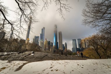 New York/ABD - 01/18/19 - sabah Central Park'ta bir kar yağışı sonra