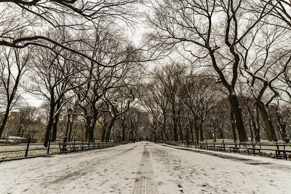 Morning after a snowfall in Central Park