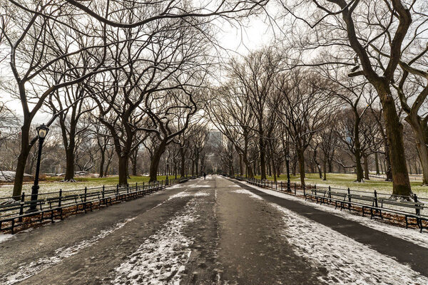 Morning after a snowfall in Central Park