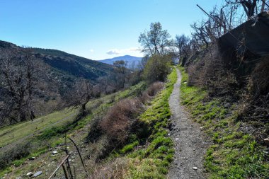 Berchules - dışında Granada - İspanya
