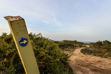 Facho Dağı 'ndaki orman yolları.