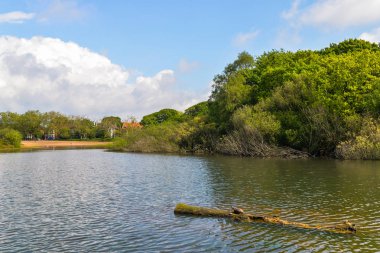 Wanstead Flats - Londra, İngiltere