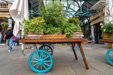 Covent Bahçelerinde çiçekler ve bitkiler