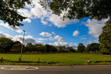 Sonbaharda Wanstead Green - Londra
