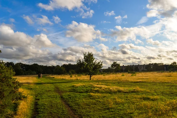 Londra 'da Epping Ormanı
