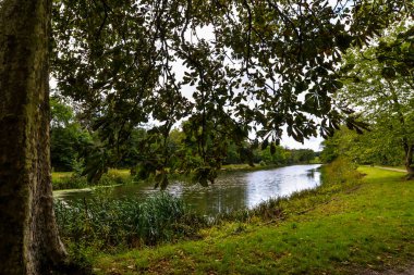 Wanstead Park 'ta sonbahar