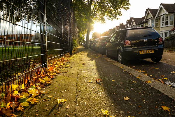 Golden lämnar på en London gata — Stockfoto